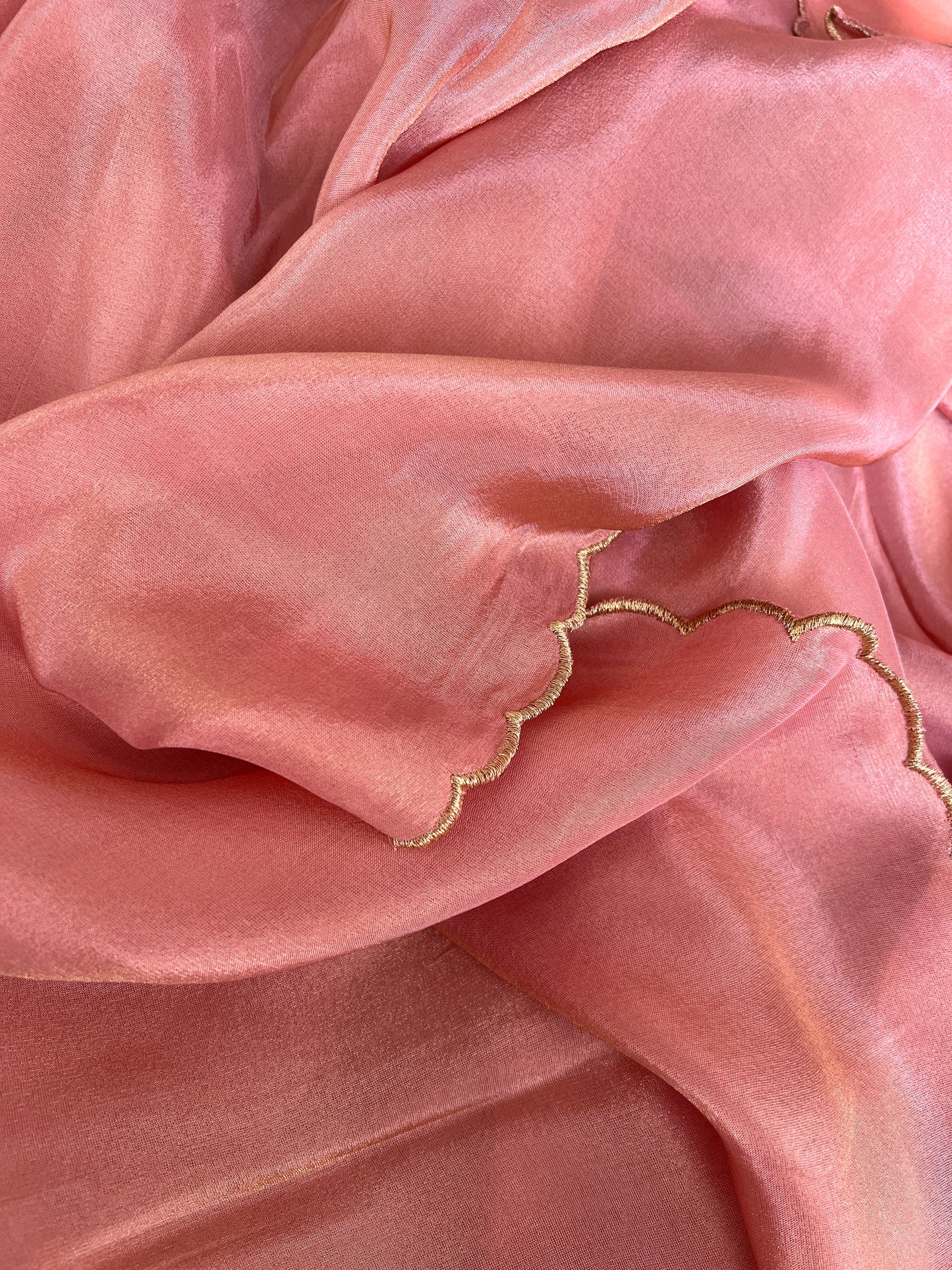 Peach Tissue Silk with Scalap border Saree